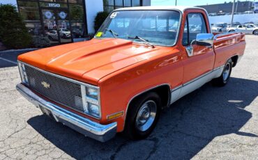 Chevrolet-Other-Pickups-1984-Truck-1