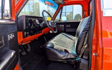 Chevrolet-Other-Pickups-1984-Truck-11