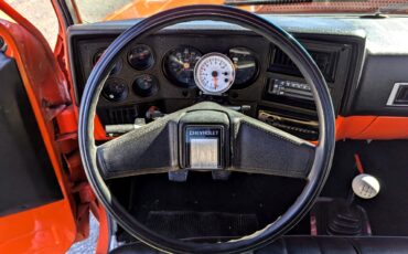 Chevrolet-Other-Pickups-1984-Truck-15