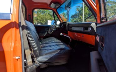 Chevrolet-Other-Pickups-1984-Truck-19