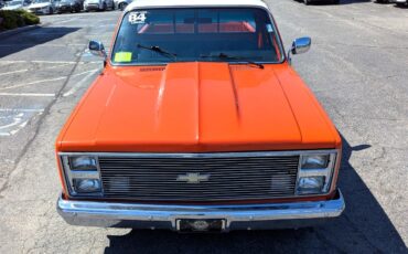 Chevrolet-Other-Pickups-1984-Truck-2