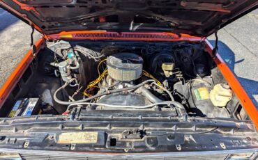 Chevrolet-Other-Pickups-1984-Truck-28