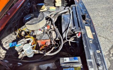 Chevrolet-Other-Pickups-1984-Truck-29