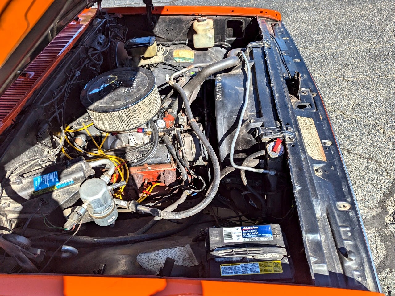 Chevrolet-Other-Pickups-1984-Truck-29