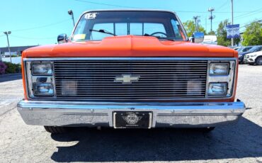 Chevrolet-Other-Pickups-1984-Truck-3