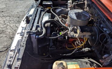 Chevrolet-Other-Pickups-1984-Truck-30