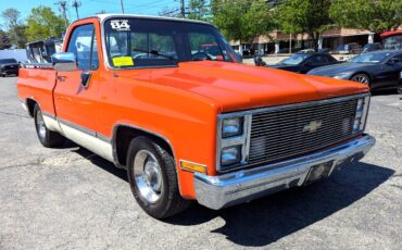 Chevrolet-Other-Pickups-1984-Truck-4