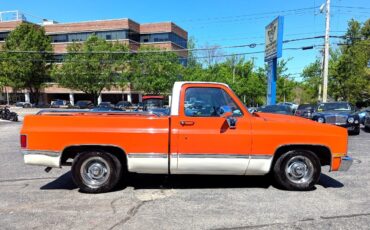 Chevrolet-Other-Pickups-1984-Truck-5