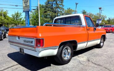 Chevrolet-Other-Pickups-1984-Truck-6