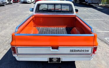Chevrolet-Other-Pickups-1984-Truck-7