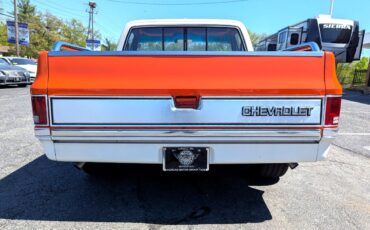 Chevrolet-Other-Pickups-1984-Truck-8