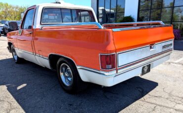 Chevrolet-Other-Pickups-1984-Truck-9