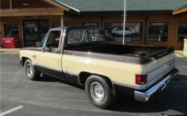 Chevrolet-Other-Pickups-1985-TruckPickup-11