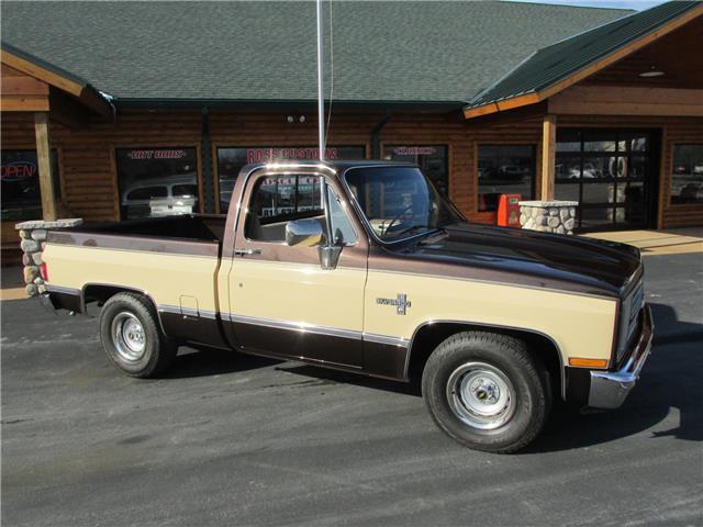 Chevrolet-Other-Pickups-1985-TruckPickup-24