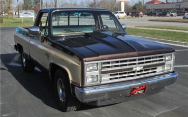 Chevrolet-Other-Pickups-1985-TruckPickup-30