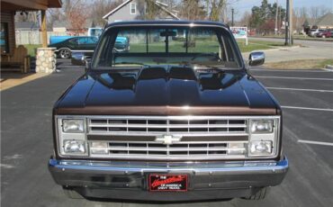 Chevrolet-Other-Pickups-1985-TruckPickup-32