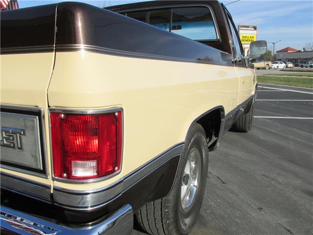 Chevrolet-Other-Pickups-1985-TruckPickup-37