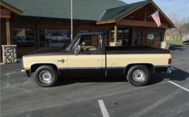 Chevrolet-Other-Pickups-1985-TruckPickup-7