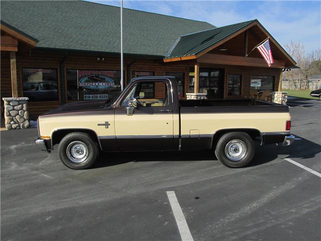 Chevrolet-Other-Pickups-1985-TruckPickup-7