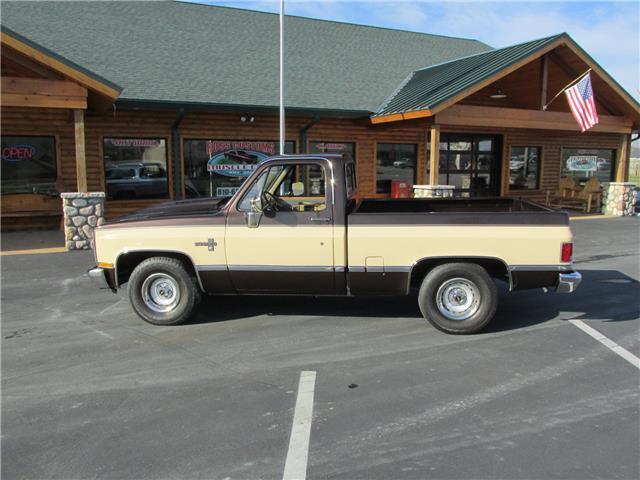 Chevrolet-Other-Pickups-1985-TruckPickup-8