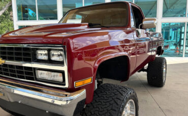 Chevrolet-Other-Pickups-1987-Pickup-Truck-10