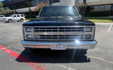 Chevrolet-Other-Pickups-1987-Pickup-Truck-11