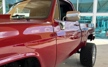Chevrolet-Other-Pickups-1987-Pickup-Truck-11