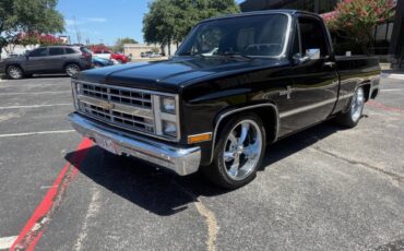 Chevrolet-Other-Pickups-1987-Pickup-Truck-12