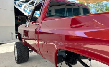 Chevrolet-Other-Pickups-1987-Pickup-Truck-12