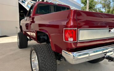 Chevrolet-Other-Pickups-1987-Pickup-Truck-13