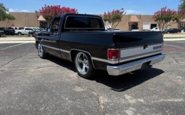 Chevrolet-Other-Pickups-1987-Pickup-Truck-14