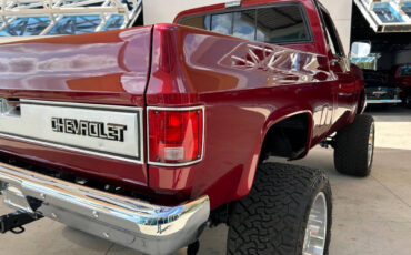 Chevrolet-Other-Pickups-1987-Pickup-Truck-14