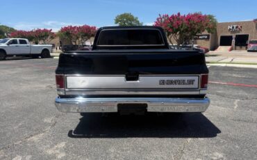 Chevrolet-Other-Pickups-1987-Pickup-Truck-15