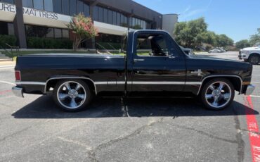 Chevrolet-Other-Pickups-1987-Pickup-Truck-17