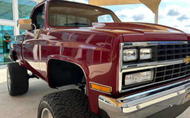 Chevrolet-Other-Pickups-1987-Pickup-Truck-17