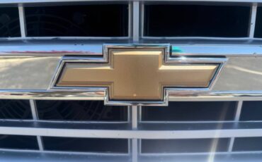 Chevrolet-Other-Pickups-1987-Pickup-Truck-19