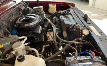 Chevrolet-Other-Pickups-1987-Pickup-Truck-19