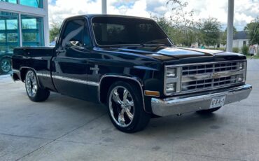 Chevrolet-Other-Pickups-1987-Pickup-Truck-2