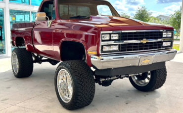 Chevrolet-Other-Pickups-1987-Pickup-Truck-2