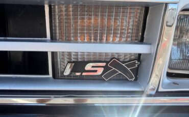 Chevrolet-Other-Pickups-1987-Pickup-Truck-20