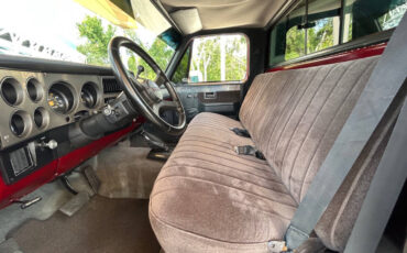 Chevrolet-Other-Pickups-1987-Pickup-Truck-22