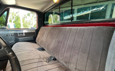 Chevrolet-Other-Pickups-1987-Pickup-Truck-23