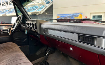 Chevrolet-Other-Pickups-1987-Pickup-Truck-25