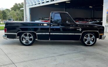 Chevrolet-Other-Pickups-1987-Pickup-Truck-3