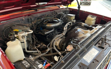 Chevrolet-Other-Pickups-1987-Pickup-Truck-31