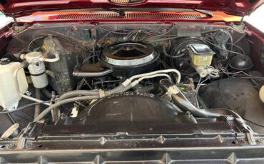 Chevrolet-Other-Pickups-1987-Pickup-Truck-32