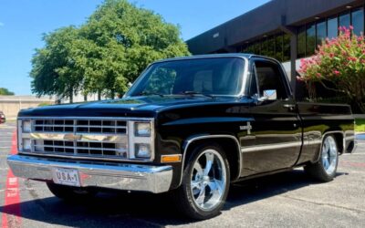 Chevrolet Other Pickups 1987 Pickup Truck