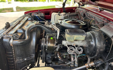 Chevrolet-Other-Pickups-1987-Pickup-Truck-34