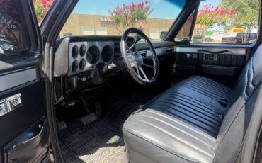 Chevrolet-Other-Pickups-1987-Pickup-Truck-36
