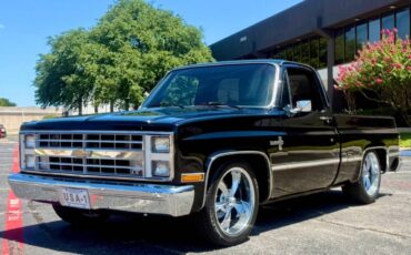 Chevrolet-Other-Pickups-1987-Pickup-Truck